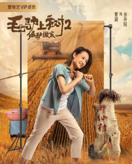 美女在线网站视频免费观看