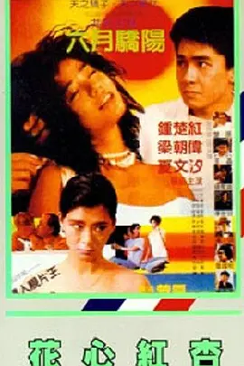 日韩毛片在线