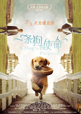 色综合91