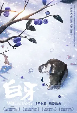 草免费视频