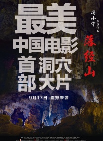 粉红色的火烈鸟在线观看完整版免费