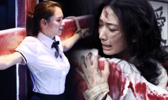 秋蝉电视剧全集免费观看